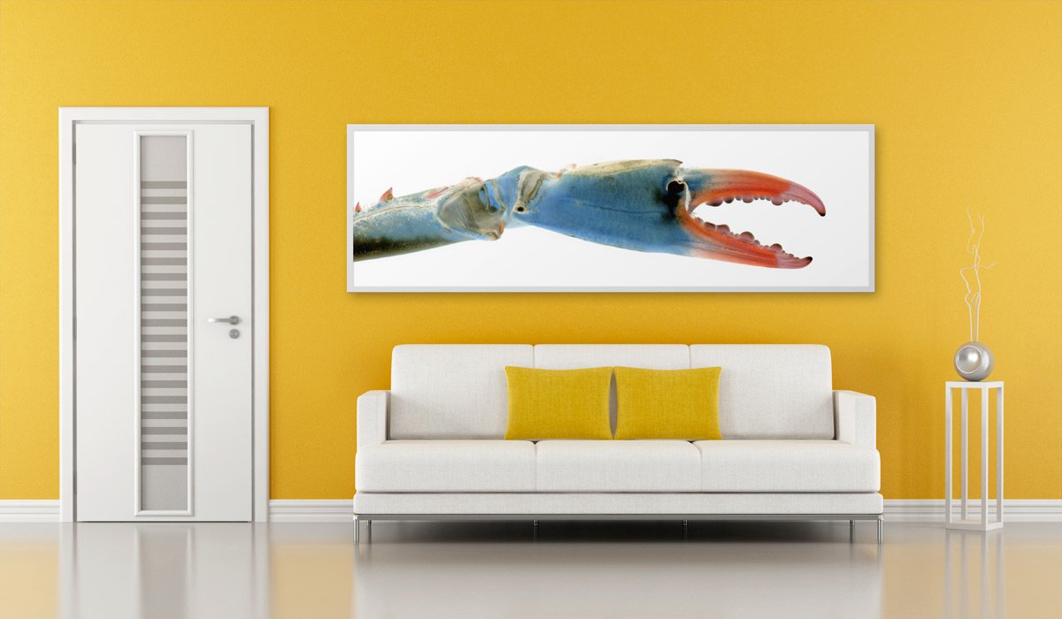 Shell-On-Walls5.jpg