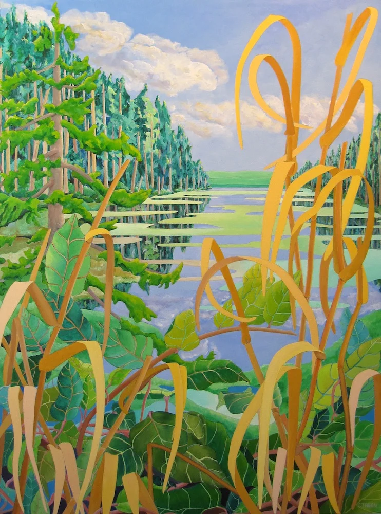 Morrison Marsh Late Winter