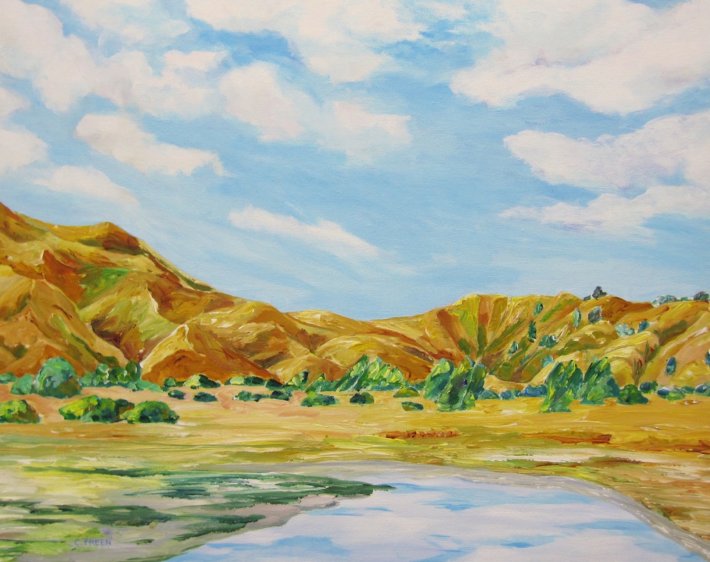 Musings on New Zealand