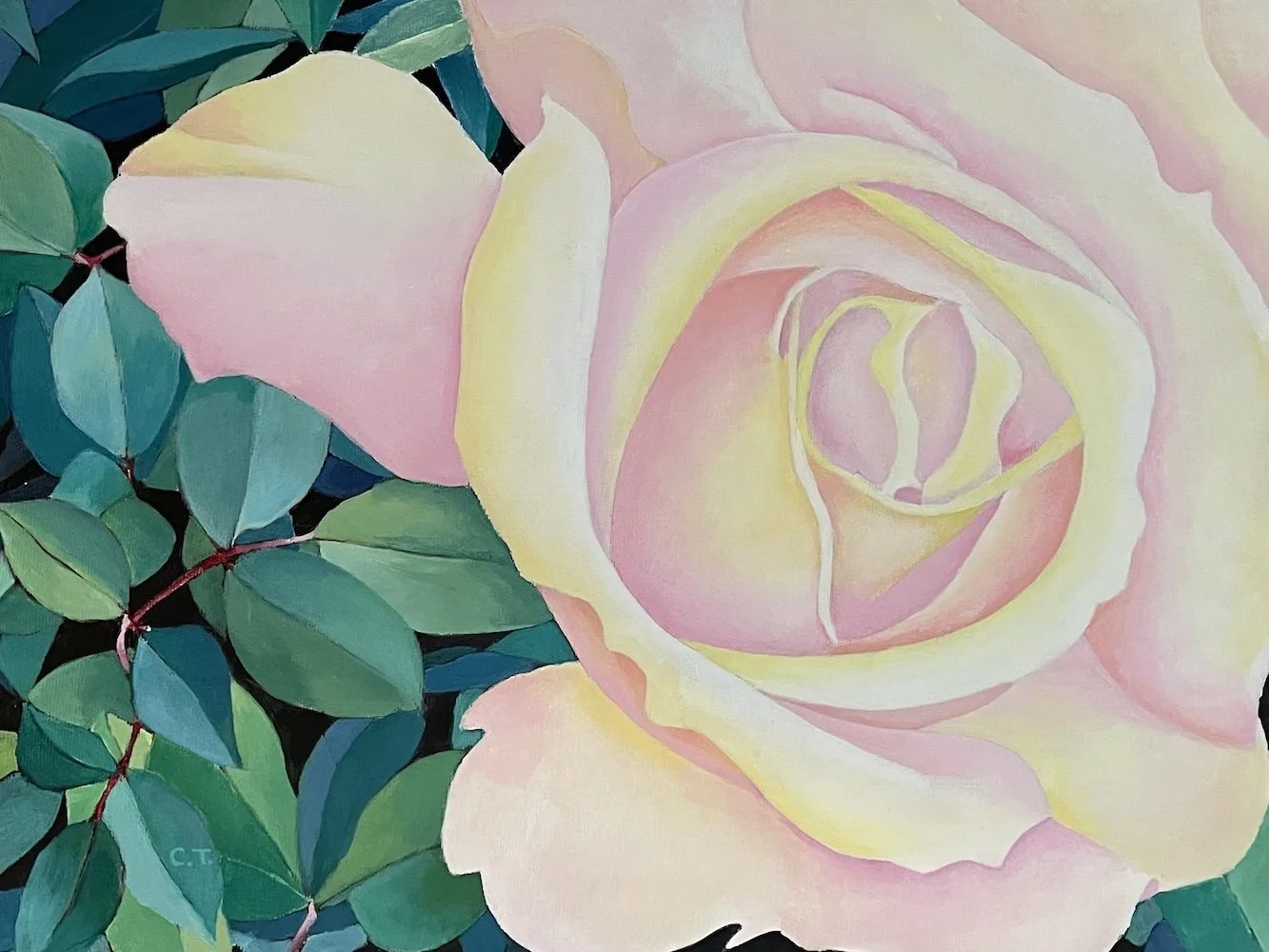 Pretty in Pink  12 x 16.jpeg
