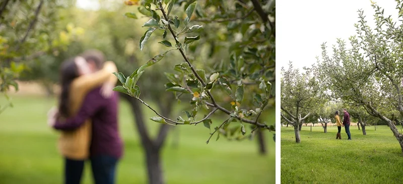 Quiet-Meadow-Farm-Engagement-Photos-0021.jpg
