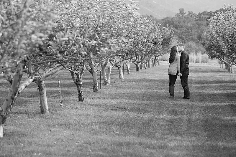 Quiet-Meadow-Farm-Engagement-Photos-0027.jpg