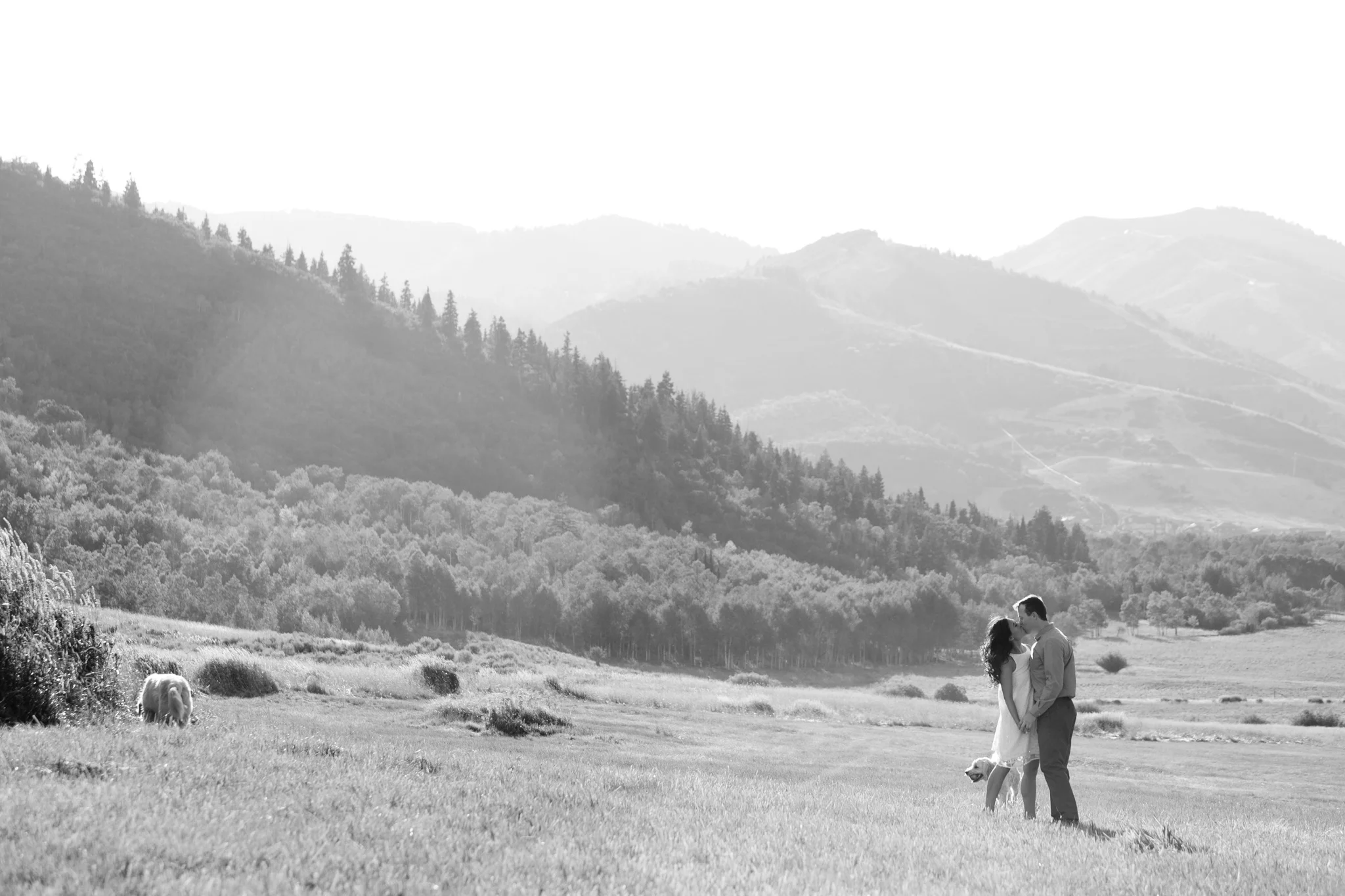 Melissa Kelsey Photography