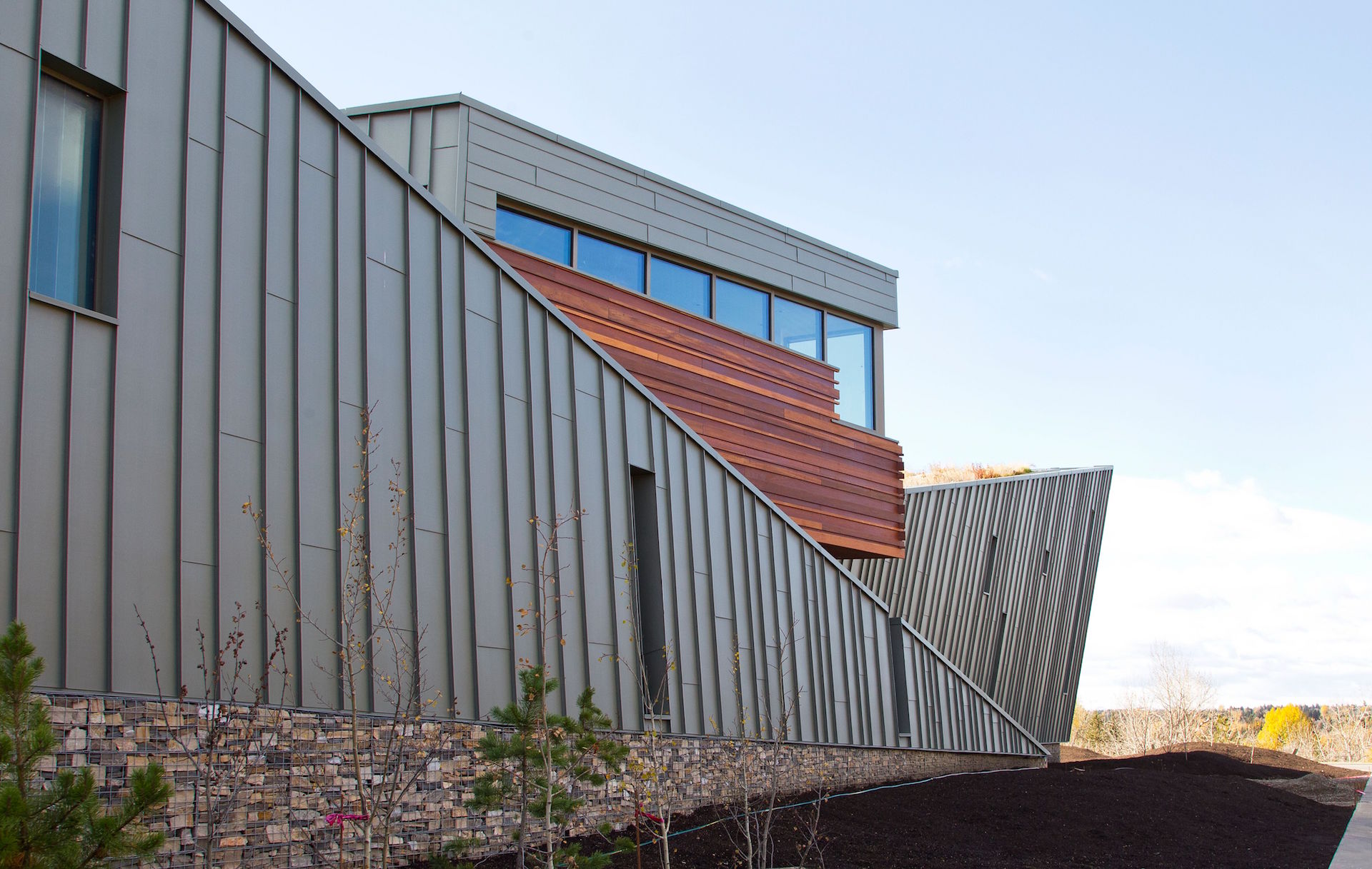 Curtainwall, punched opening windows