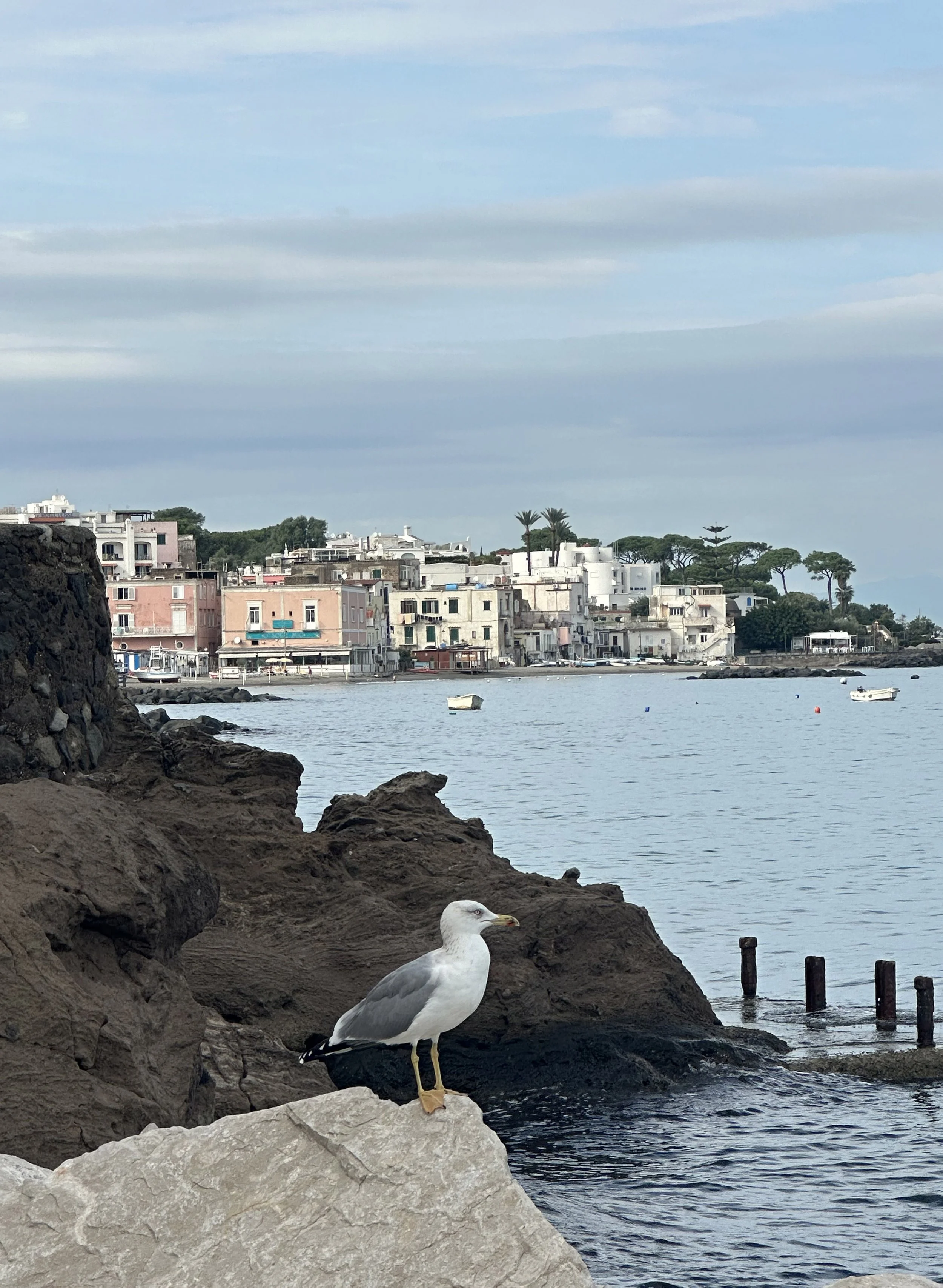 Vandring och bad på ön Ischia