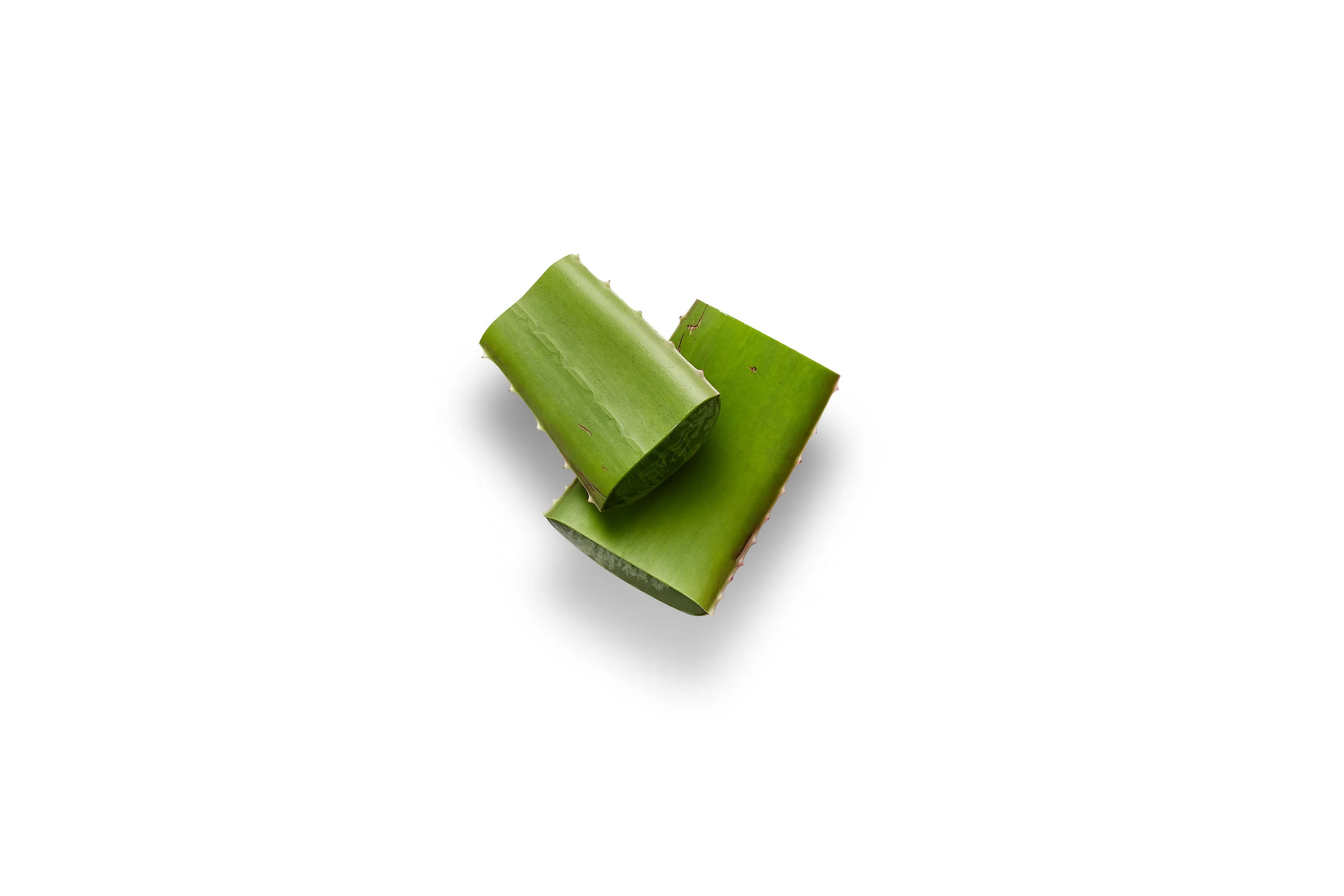 ALOE_Ingredient_GROUPING_MAIN_ADD_TWO_SMALL_PIECES_008.jpg