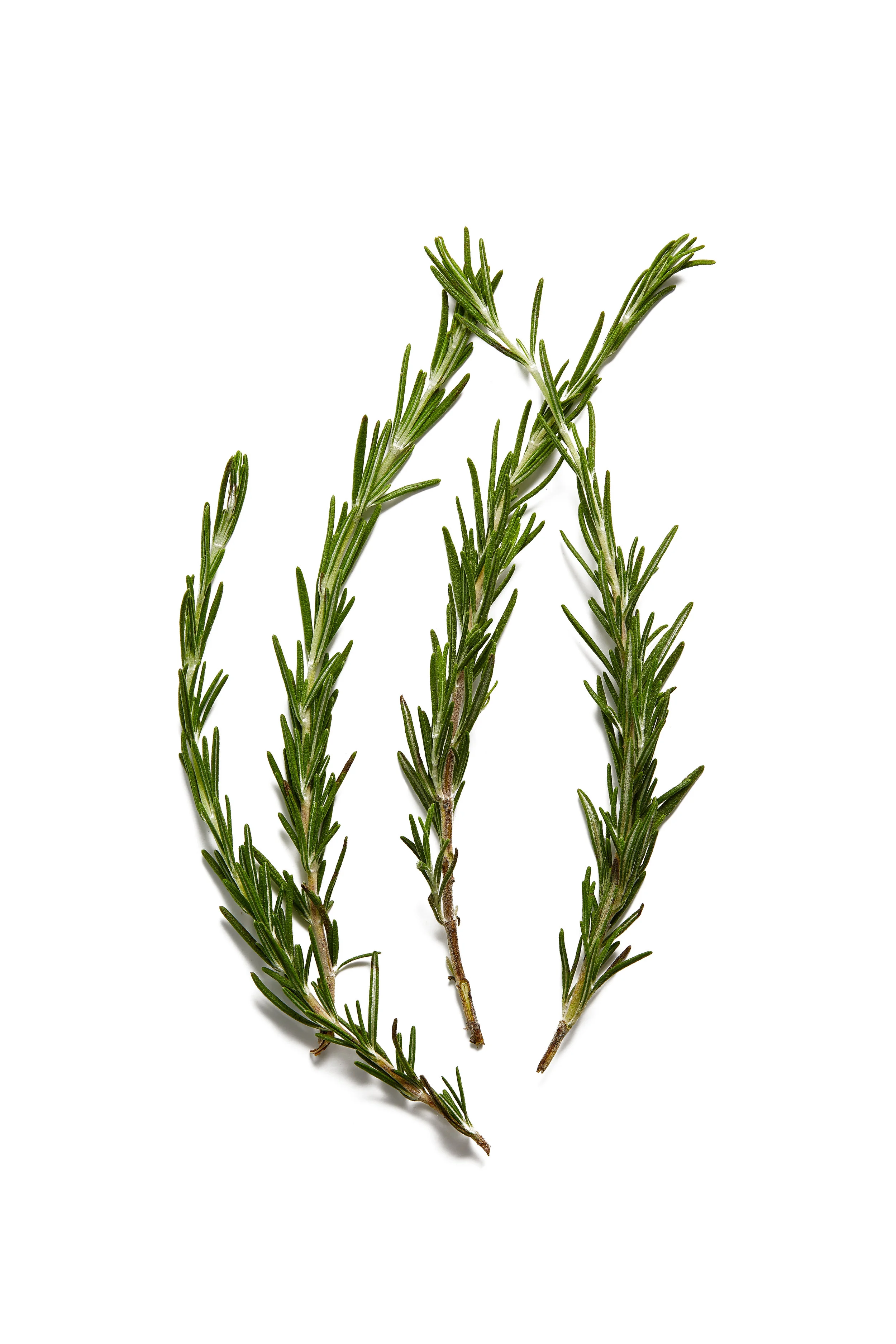 Rosemary_Ingredient_010.jpg