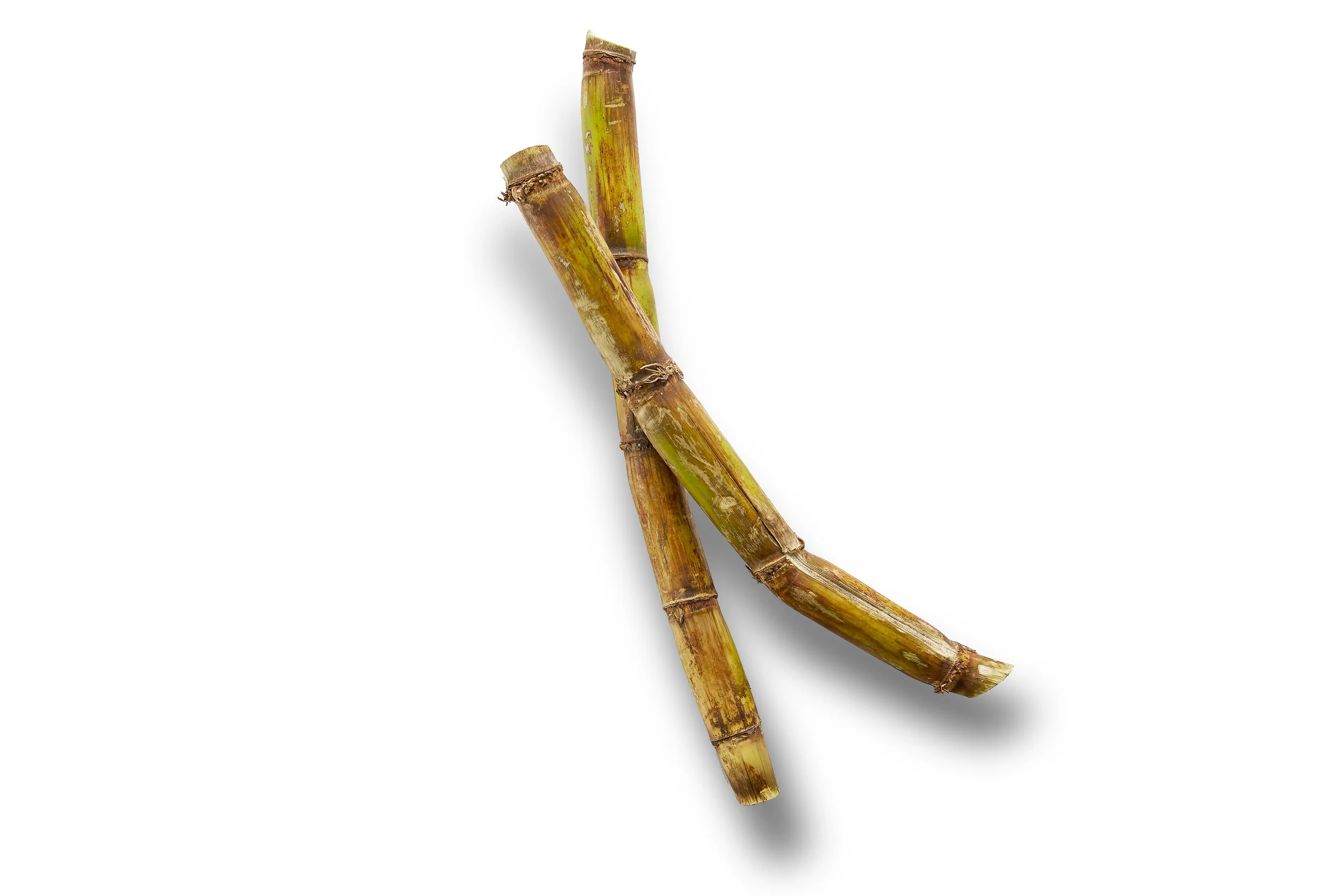Sugar_Cane_Ingredient_OPTION_012.jpg