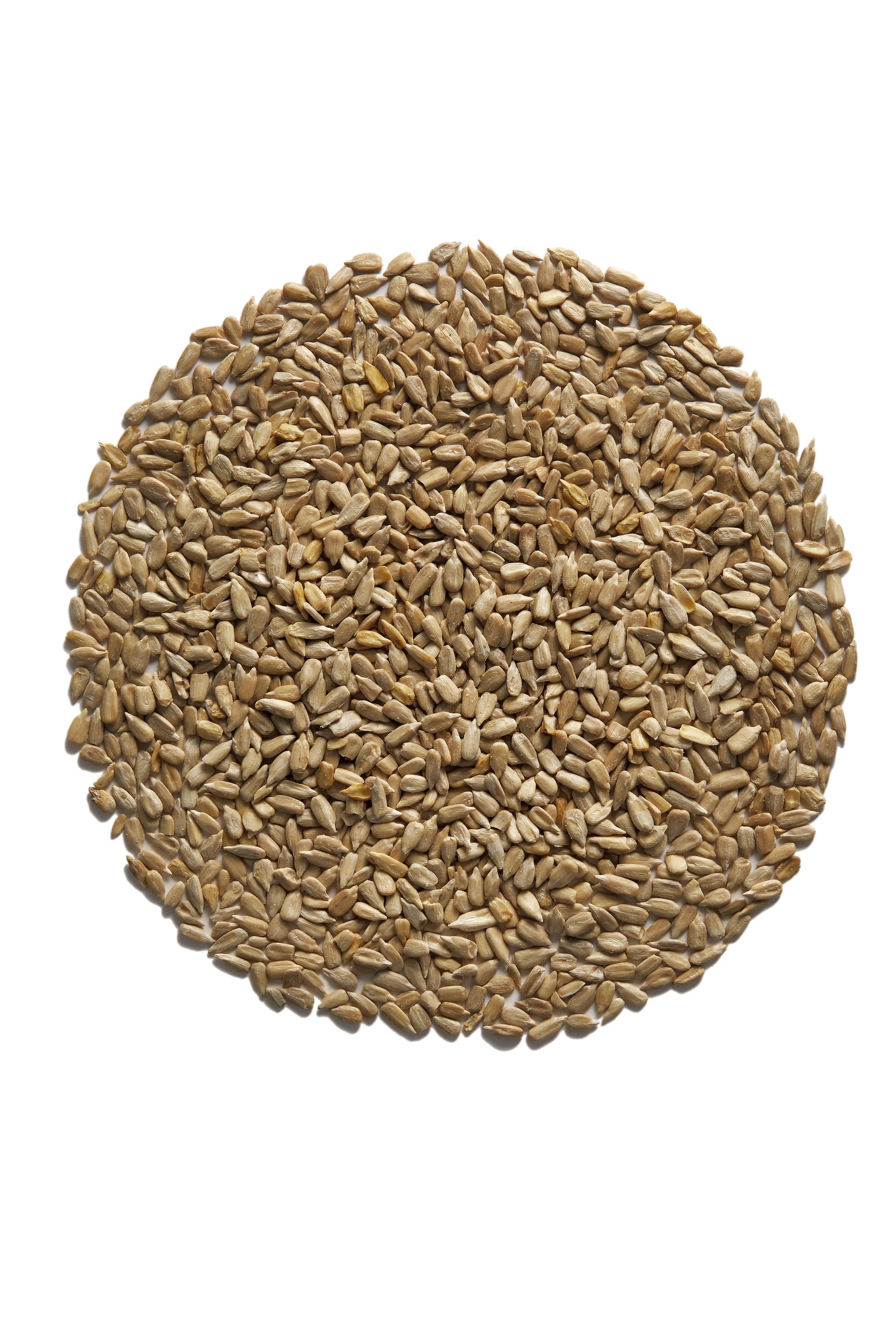 Sunflower_Seeds_Ingredient_019.jpg