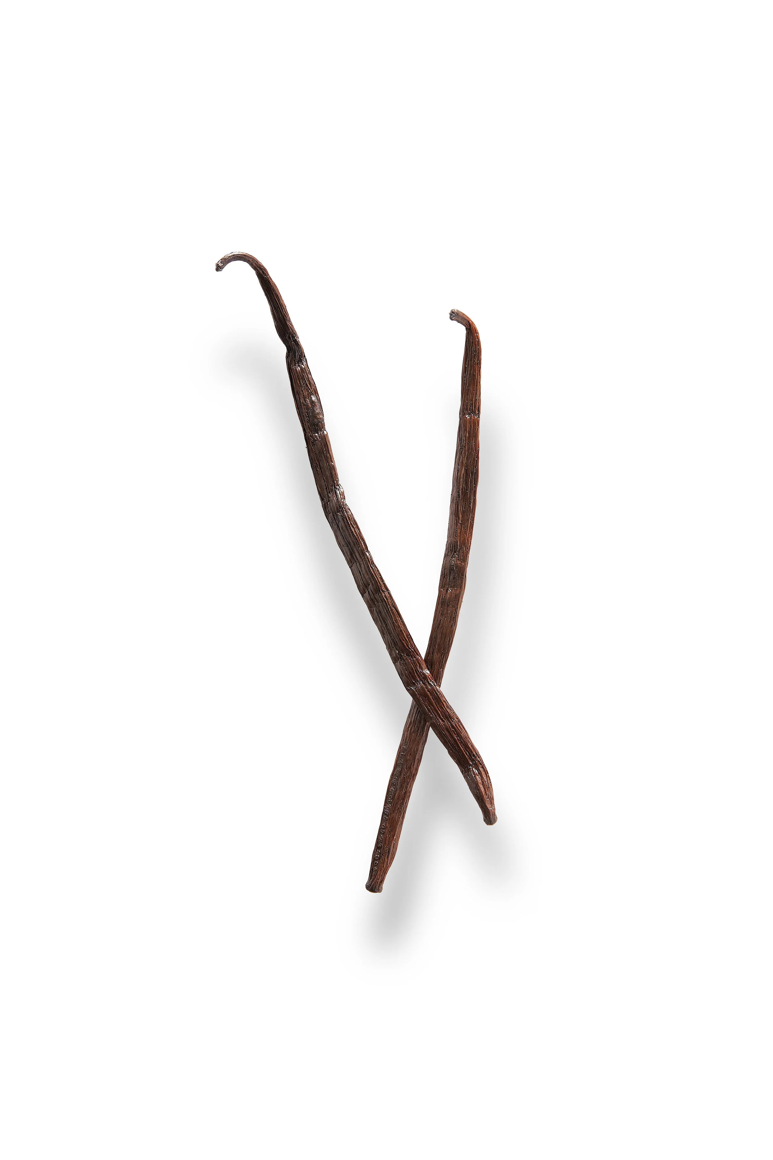 Vanilla_Ingredient_024.jpg