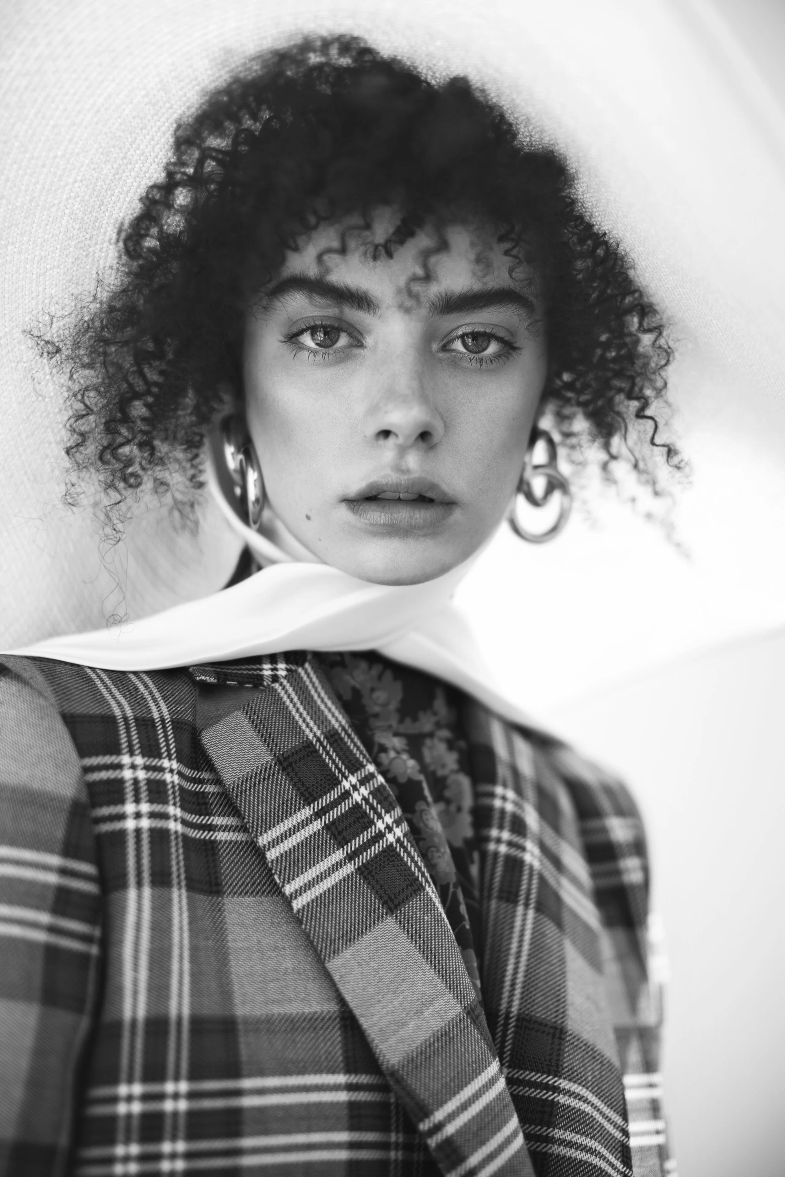 TAT37.jpg