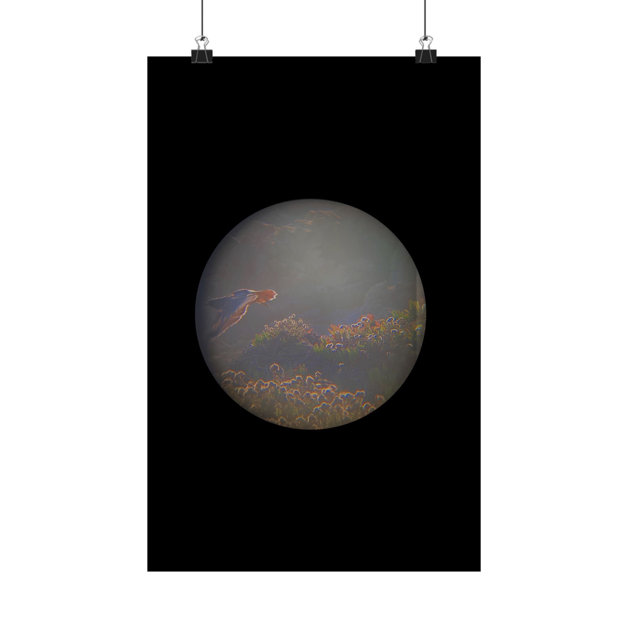 d192dbd4e58524683a20c69f202fa015