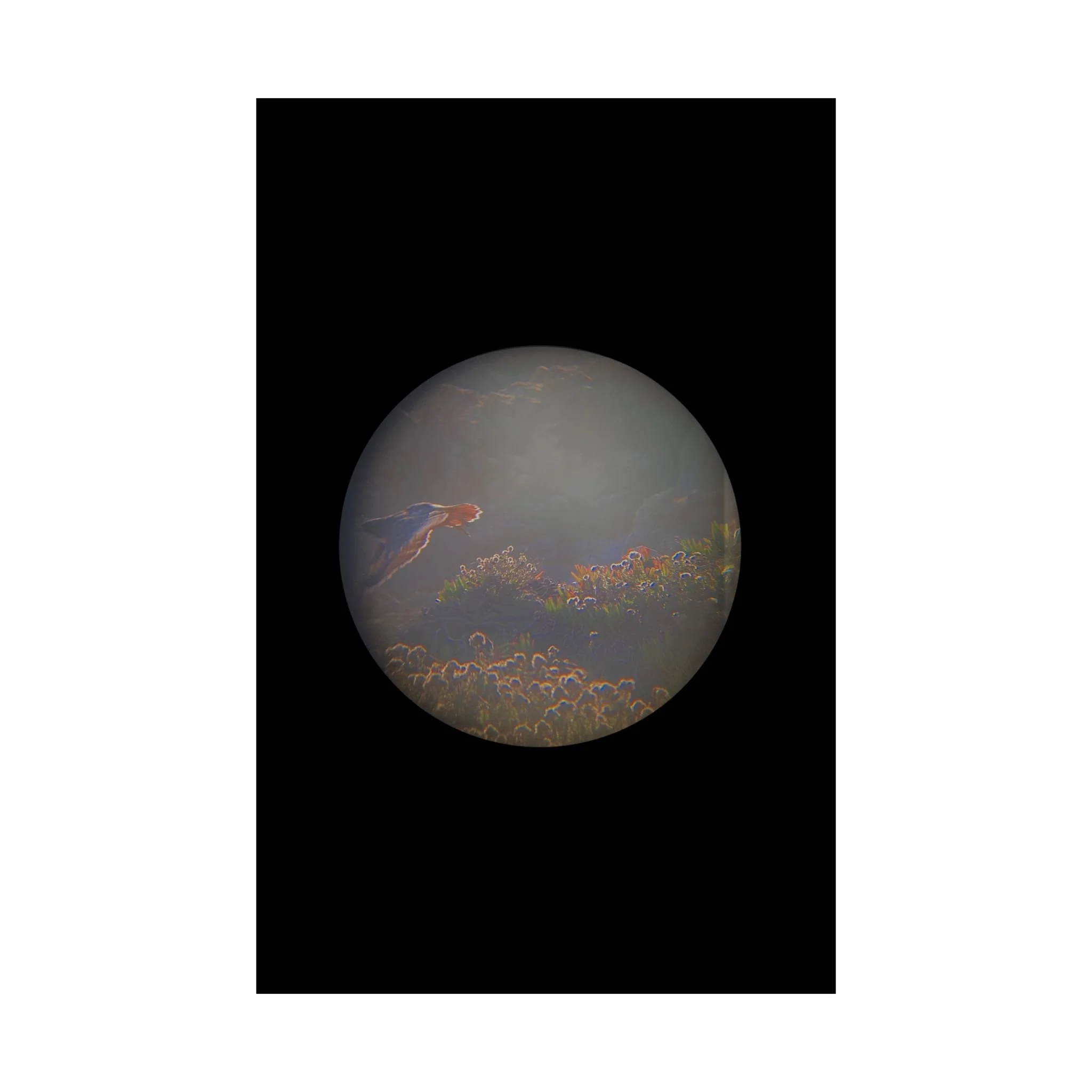 ef7a83d074f216c791e453da63b23ab2