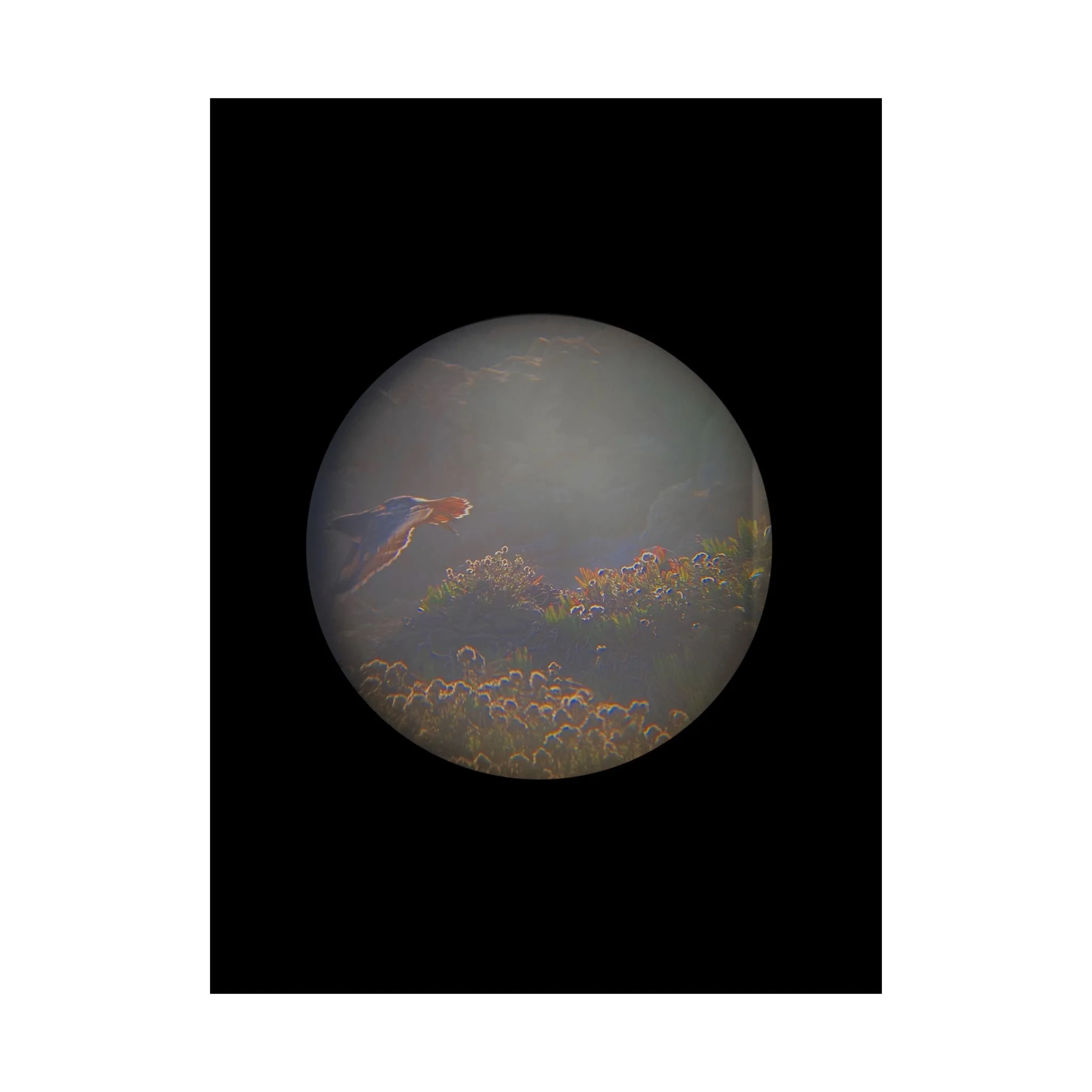 9caa1213e65554d51ba6ec131d8af1f7