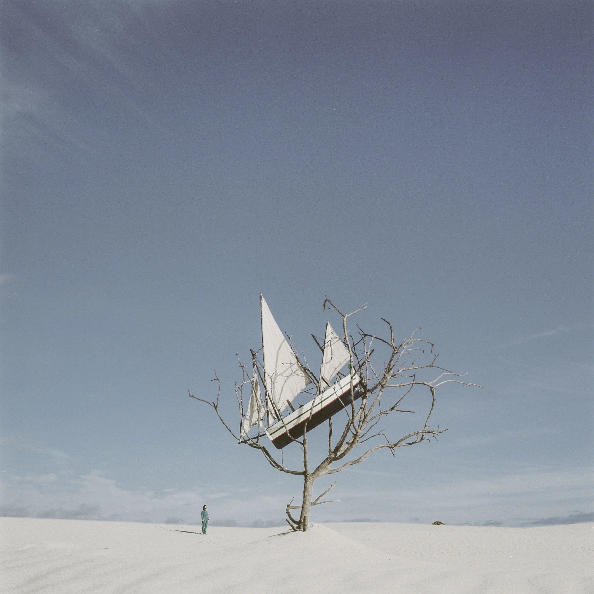 Boat in Tree<br/>Giclée Archival Print Unframed.<br/>Large and Medium Sizes