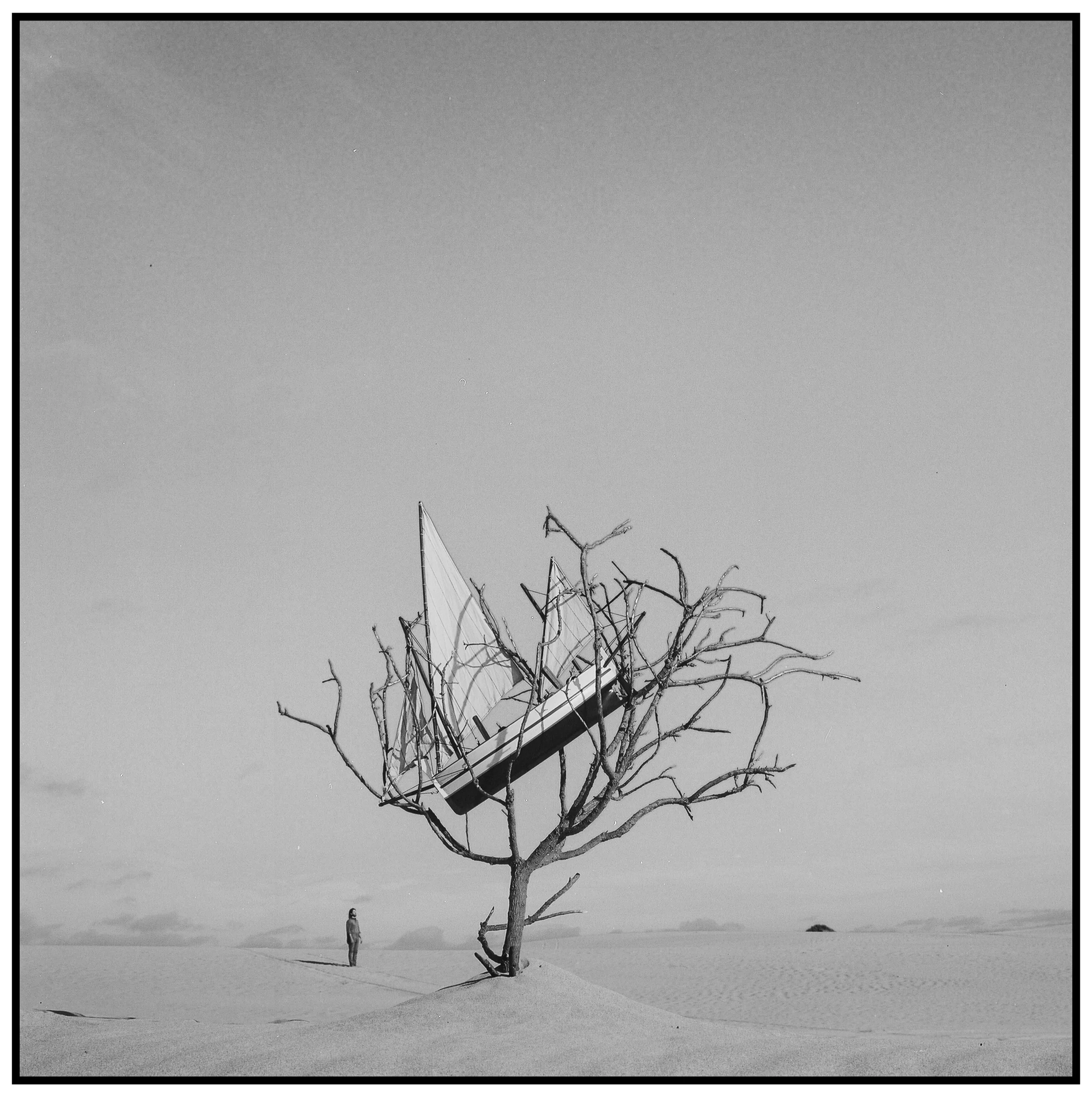 Boat in Tree<br/>Silver Gelatin Print.