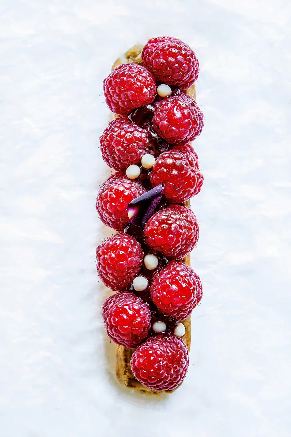 raspberry tart 5th element PORTFOIO.jpg