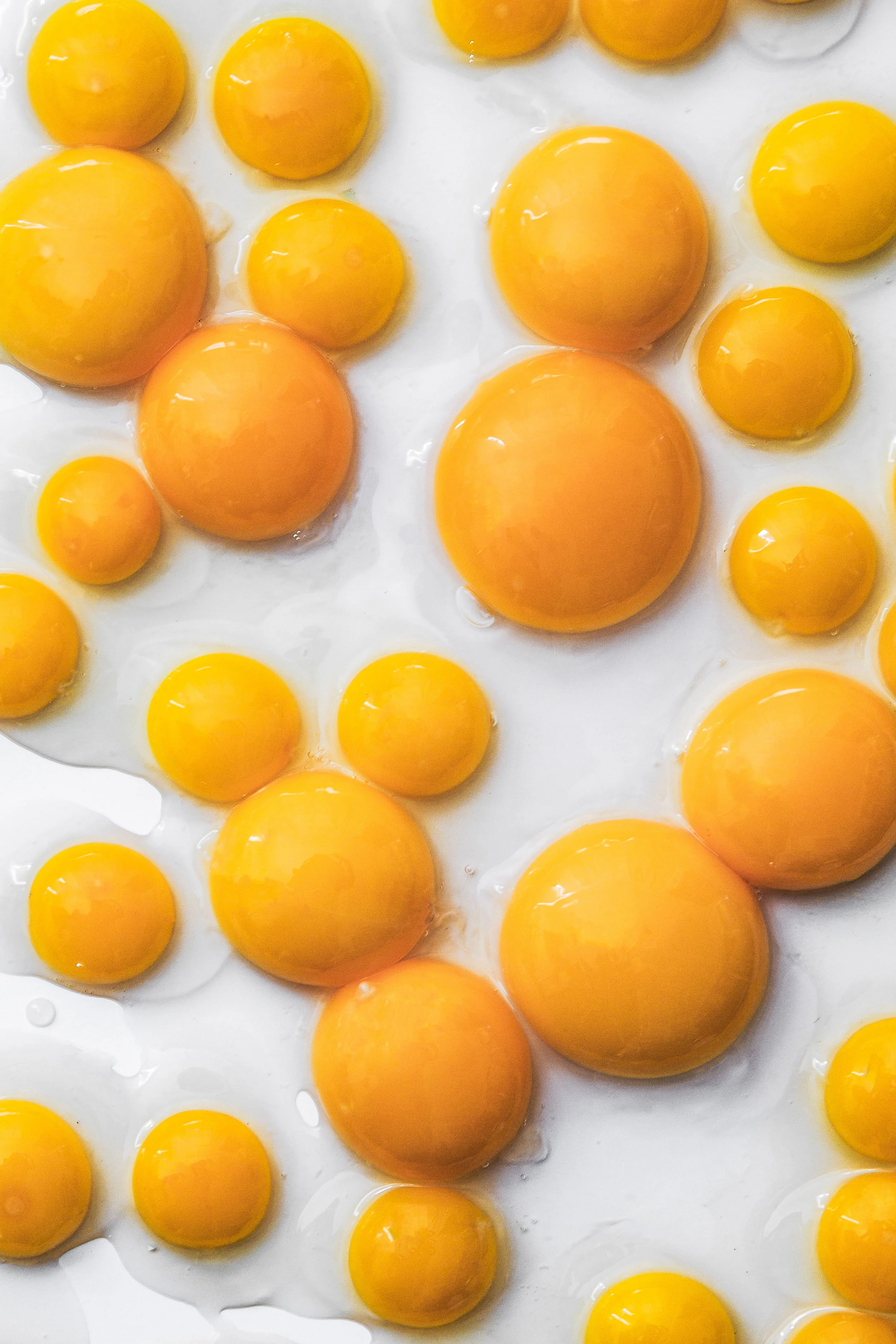 all the yolks.jpg