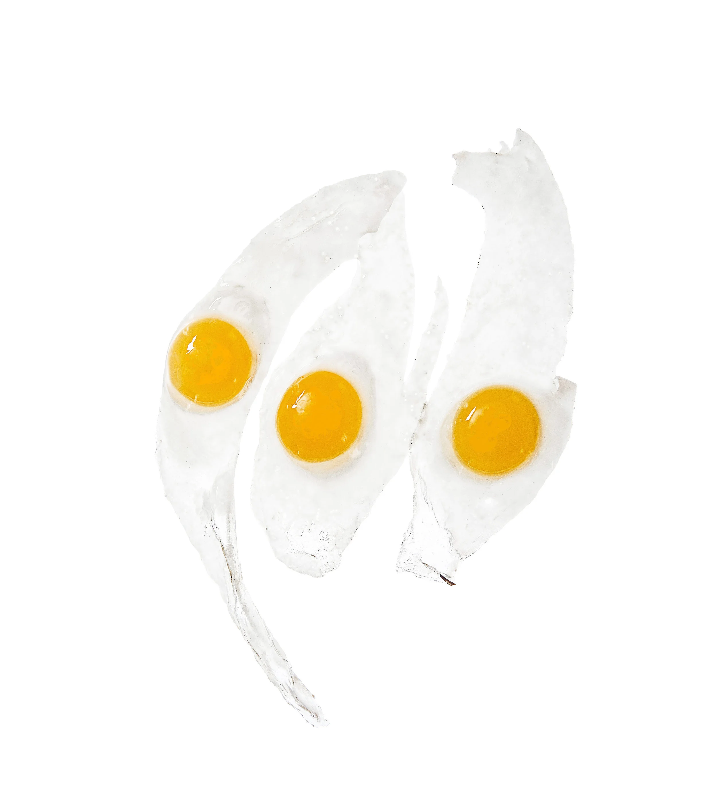 trail egg portfolio.jpg