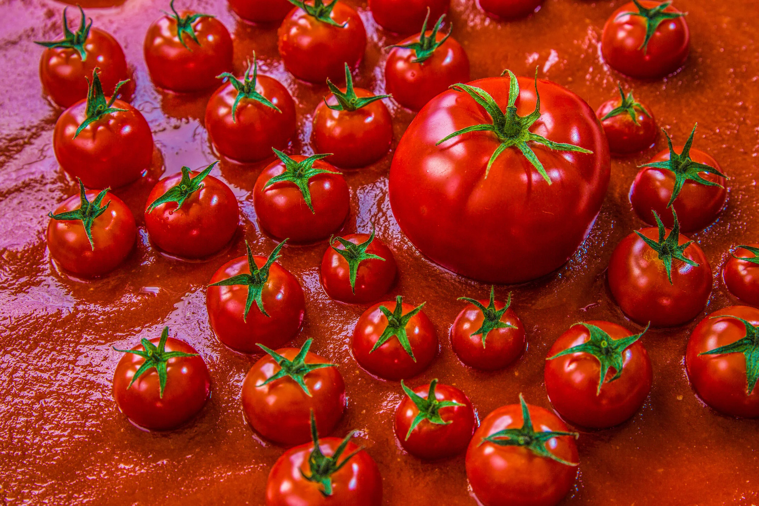 TOmatoSOUPart 5.1 sRGB-1.jpg