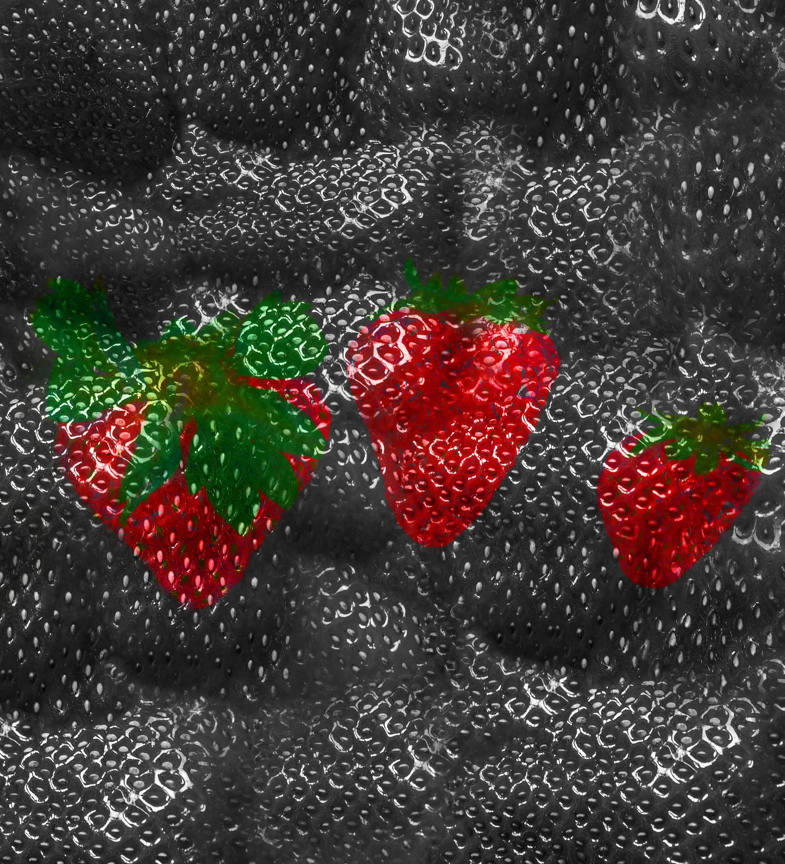 three strawberries graphic 2.jpg