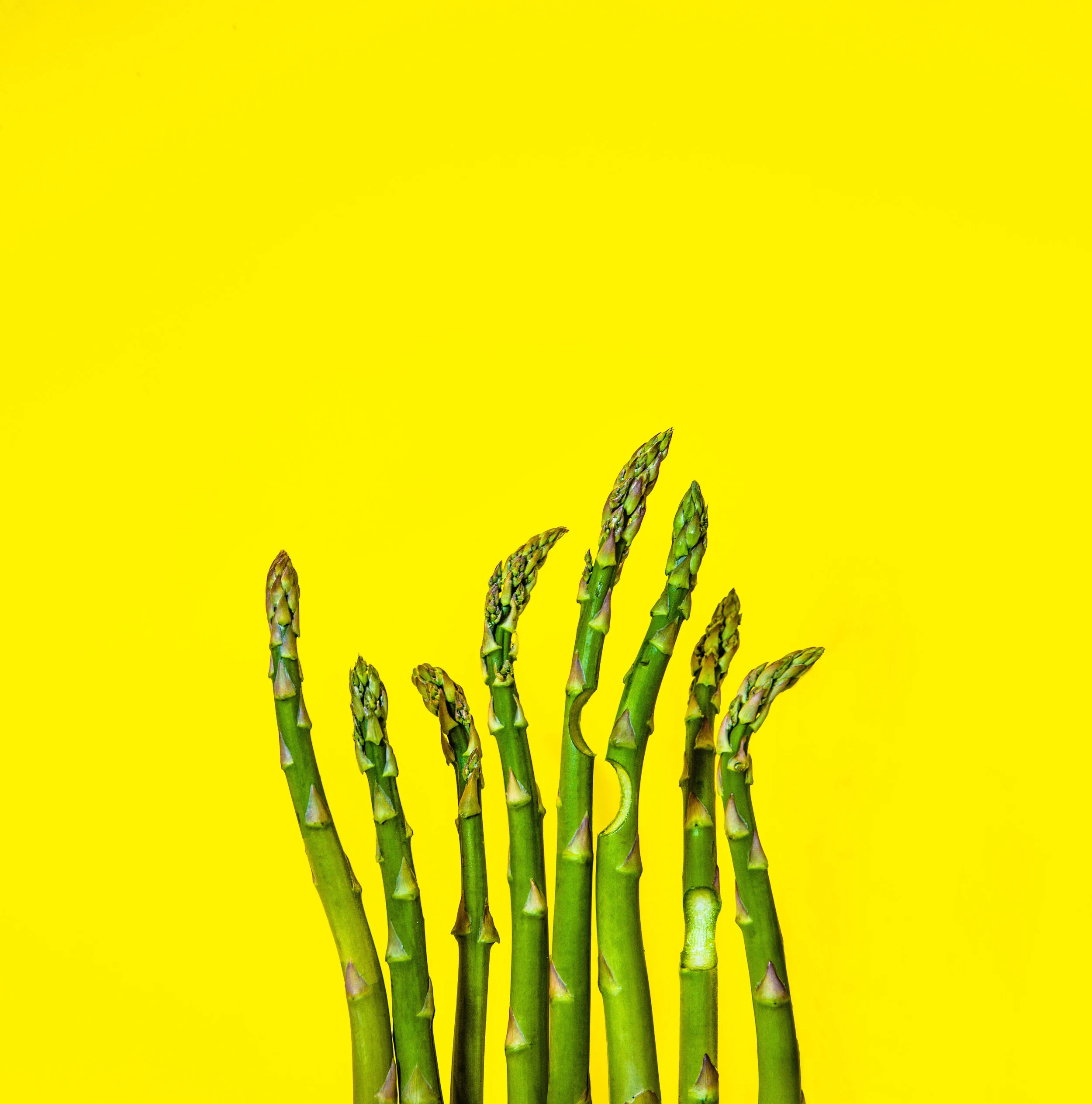 asparagus circle 1 portfolio 1.jpg