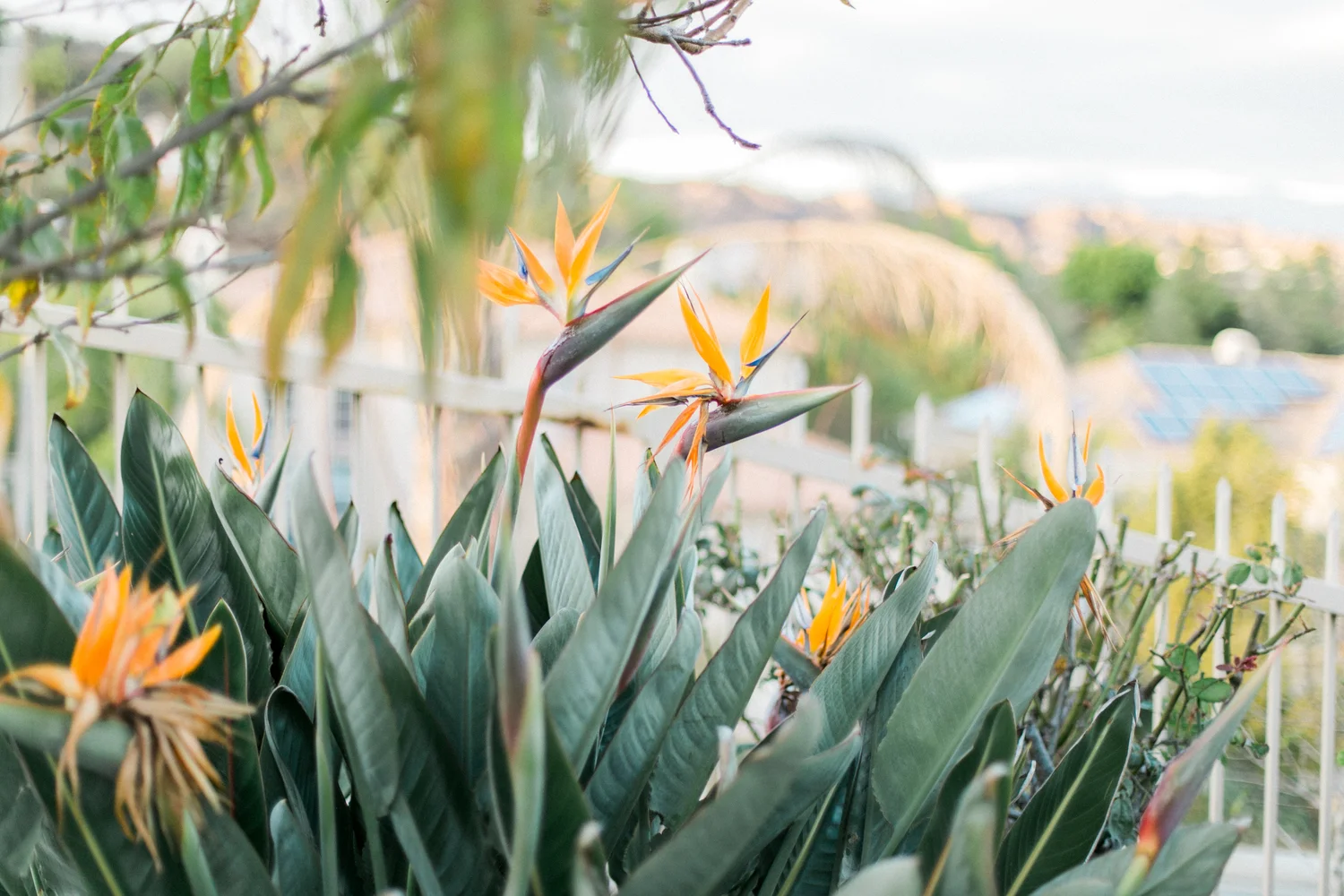 Personal | Holidays 2015