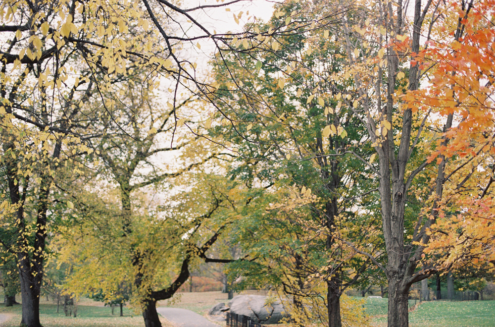 StephanieGanPhotographyNY-34.jpg