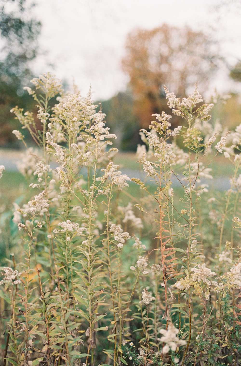 StephanieGanPhotographyNY-36.jpg