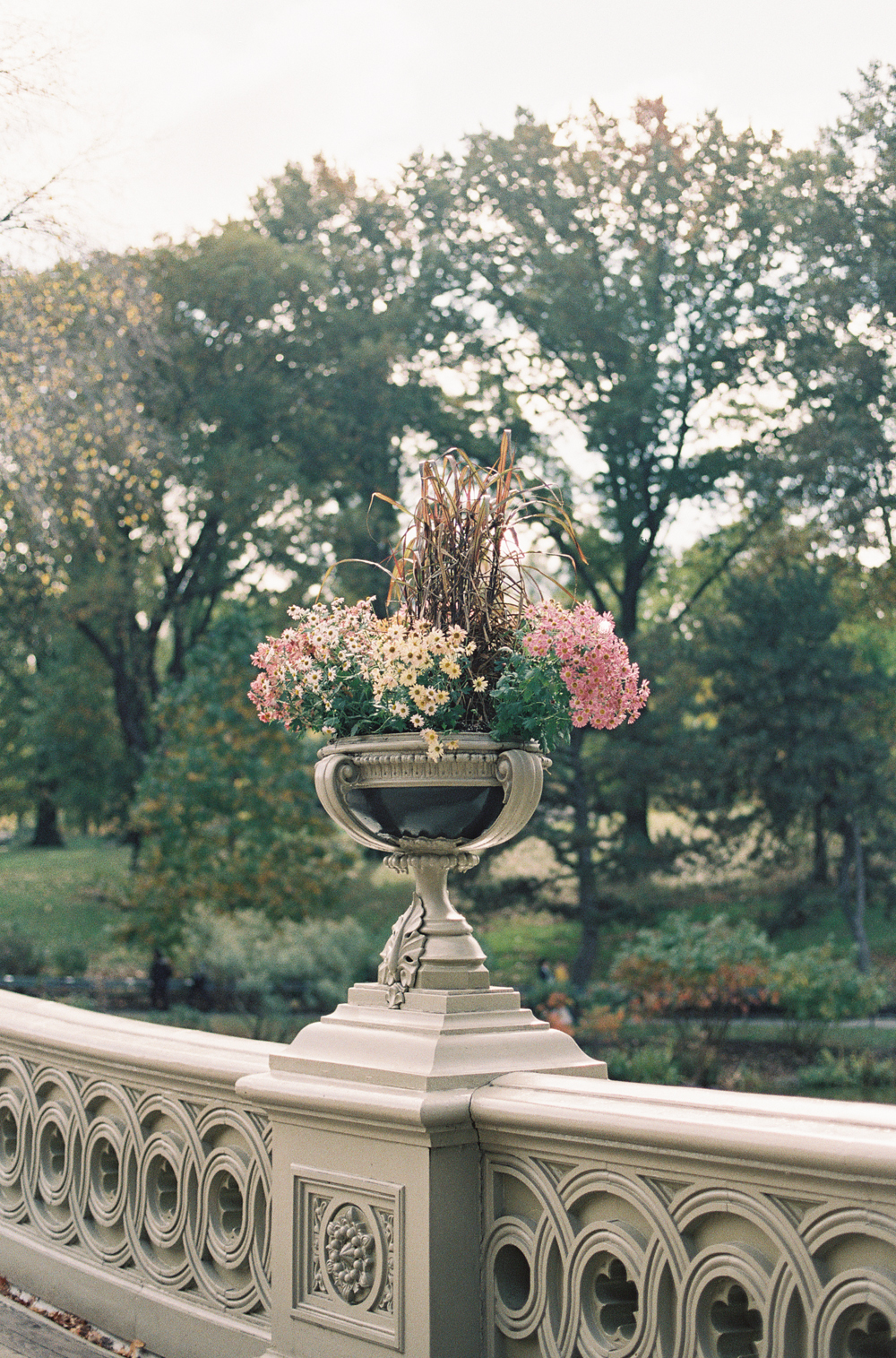 StephanieGanPhotographyNY-41.jpg
