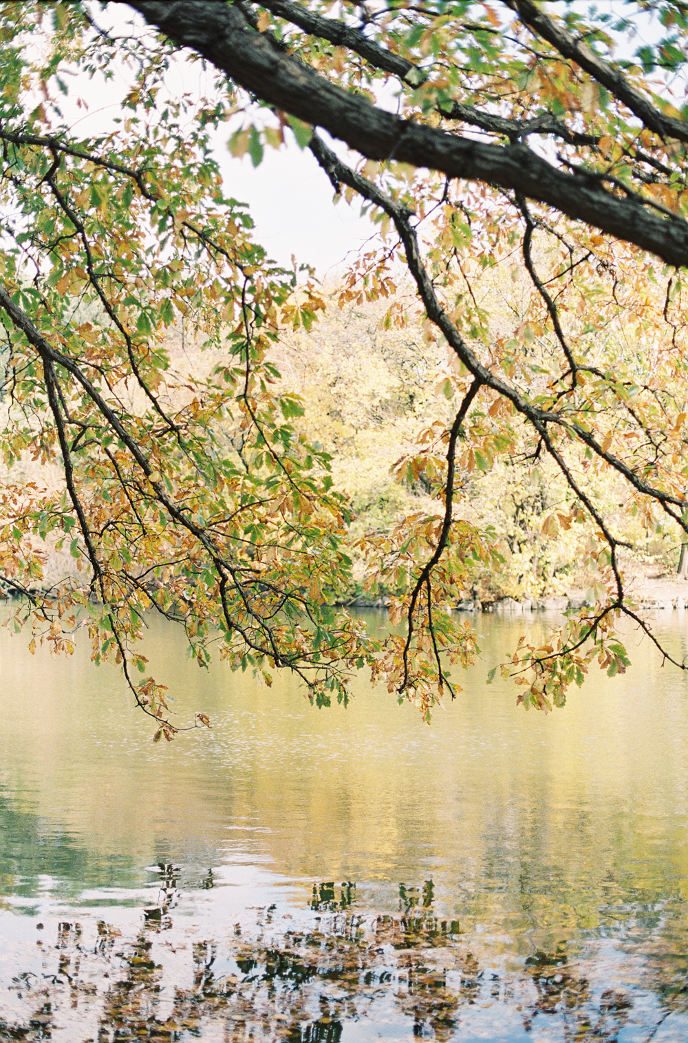 StephanieGanPhotographyNY-43.jpg