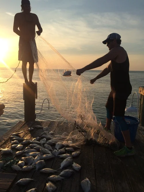 Cast Netting Lessons & Fishing