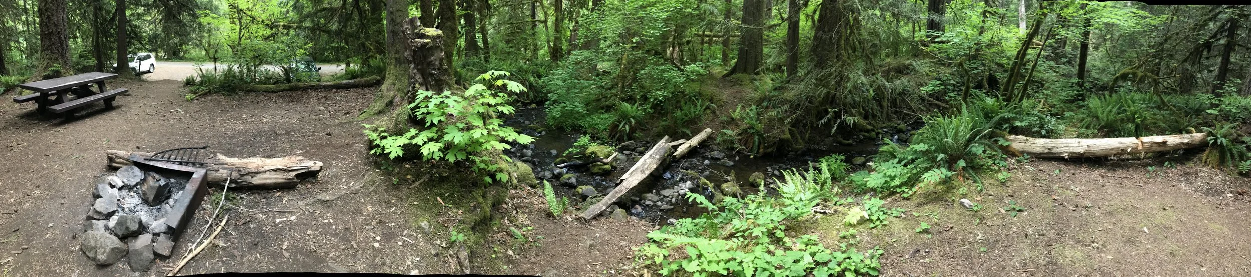 2018-05-25 18.49.45.jpg