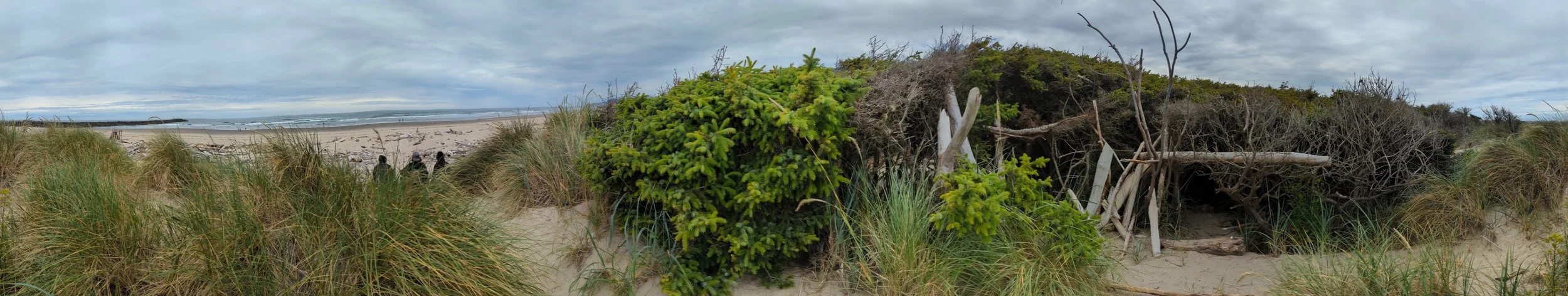 2024-06-29 11.40.15.jpg