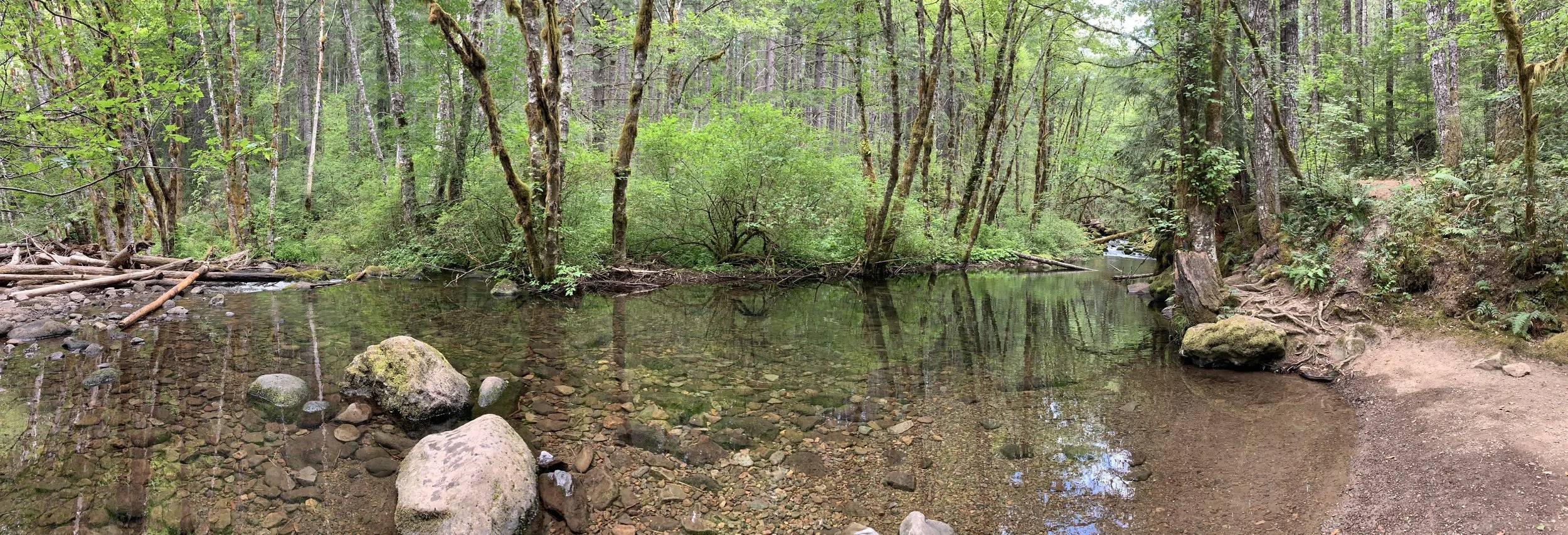 2020-07-24 12.38.54.jpg