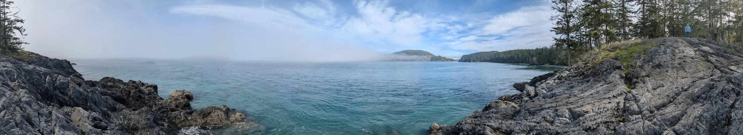 2025-03-25 14.16.37.jpg