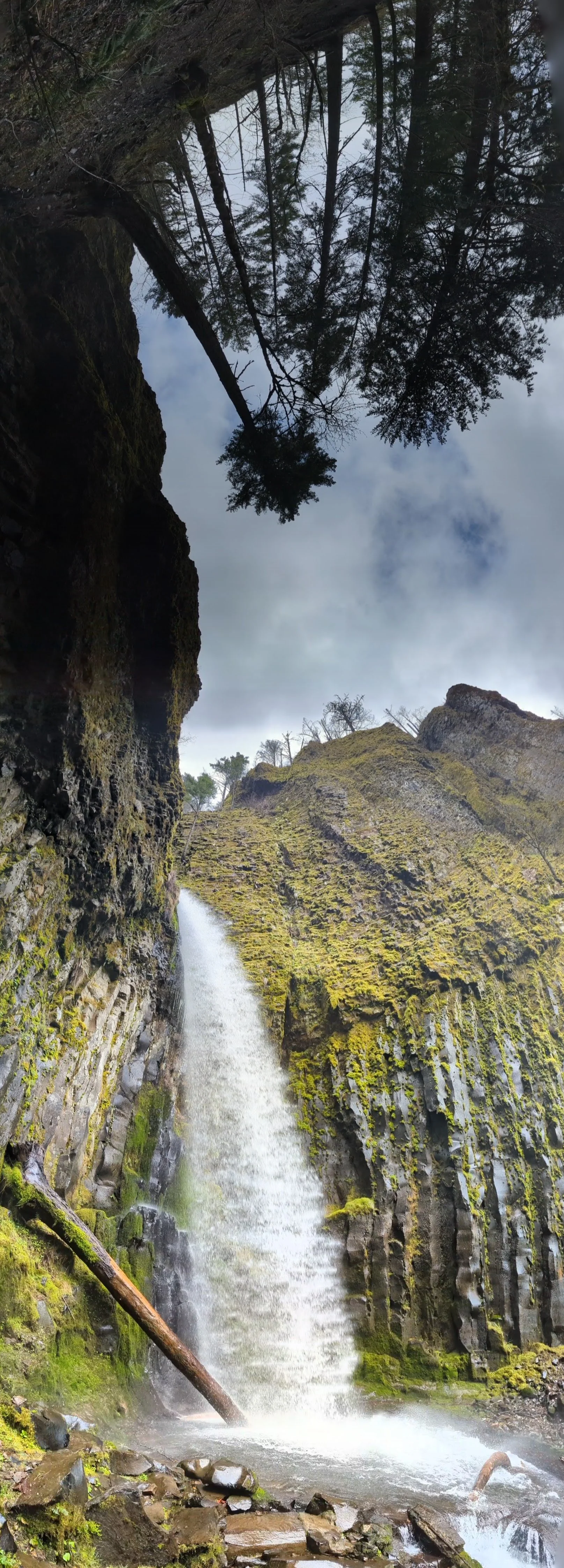 2024-03-24 13.40.16.jpg