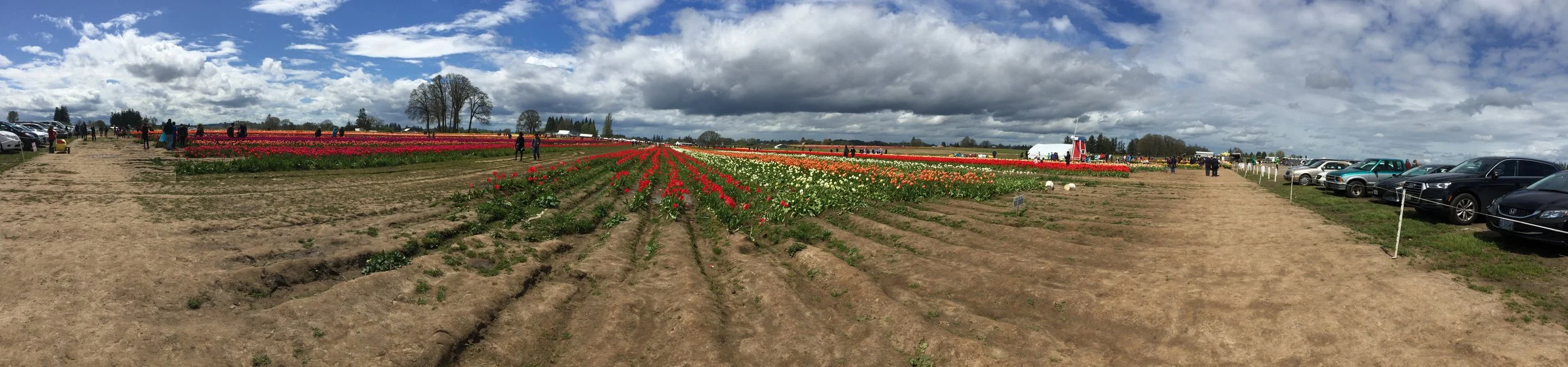 2017-04-22 13.14.00.jpg