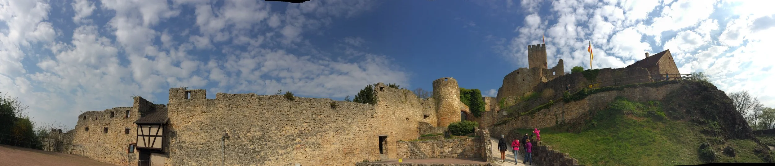 2017-04-04 10.30.46.jpg