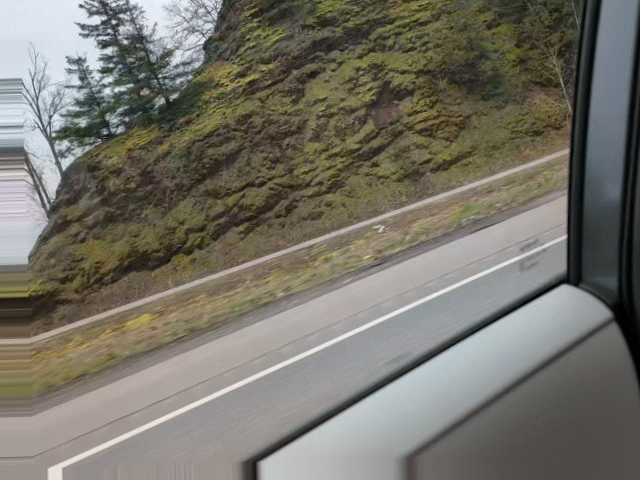 2026-02-16 13.01.08.gif