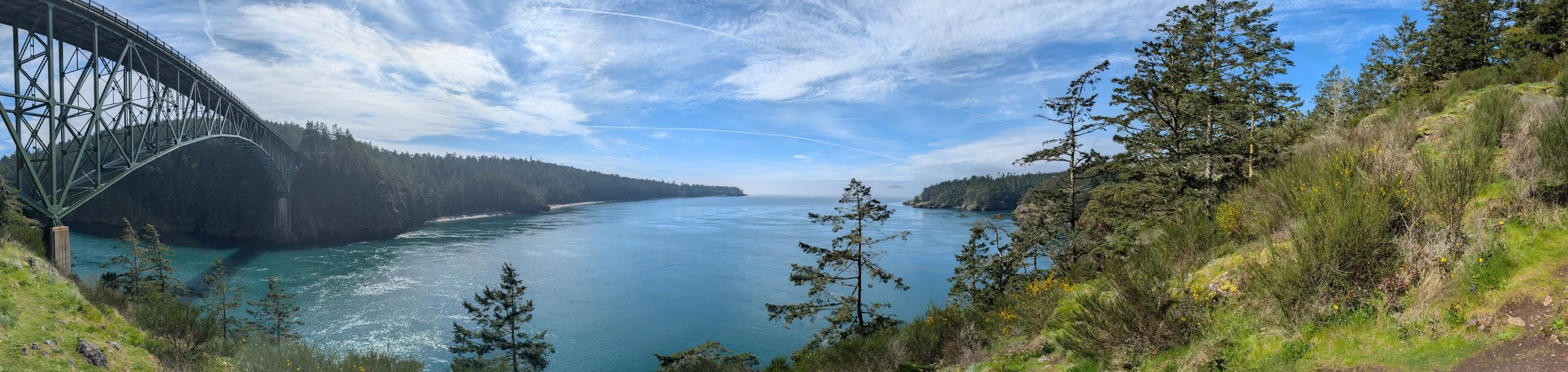 2025-03-25 13.46.10.jpg