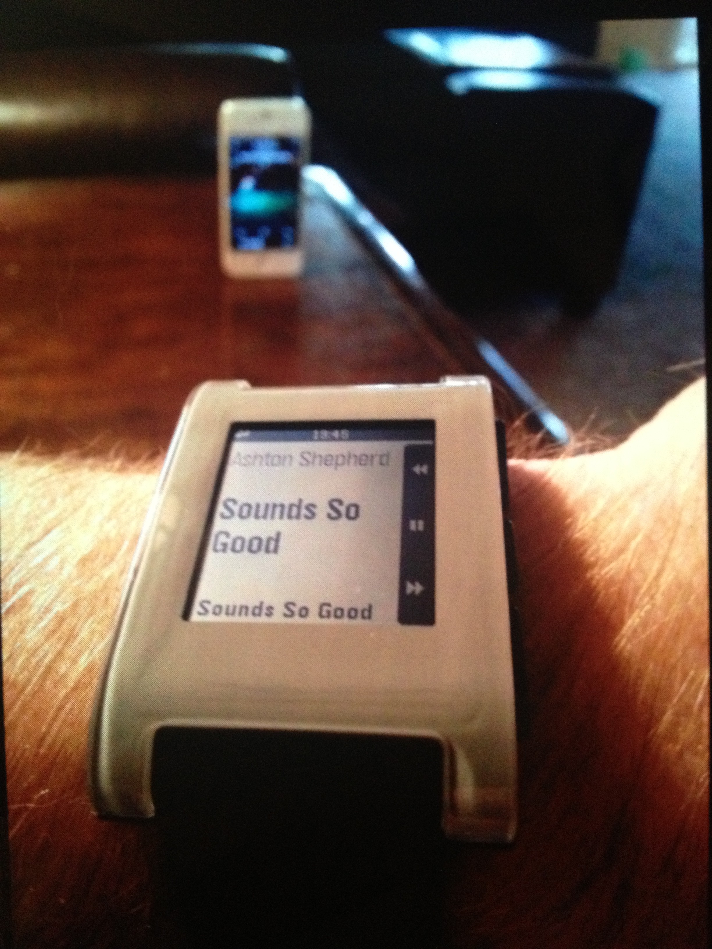 pebble-ipod-controller-ashton-shepherd-e1376283111700.jpg