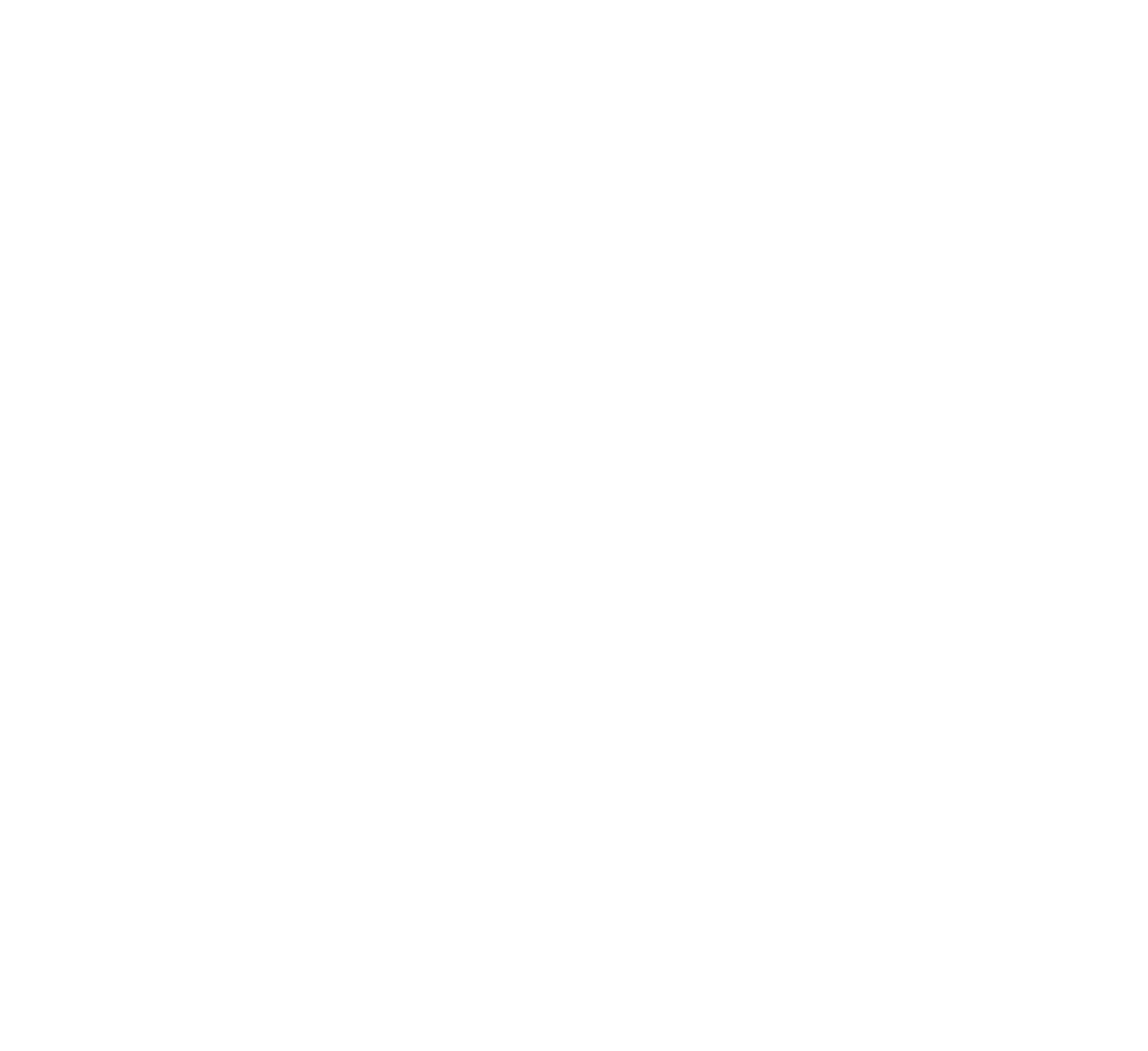 Global Surgical and Medical Support Group