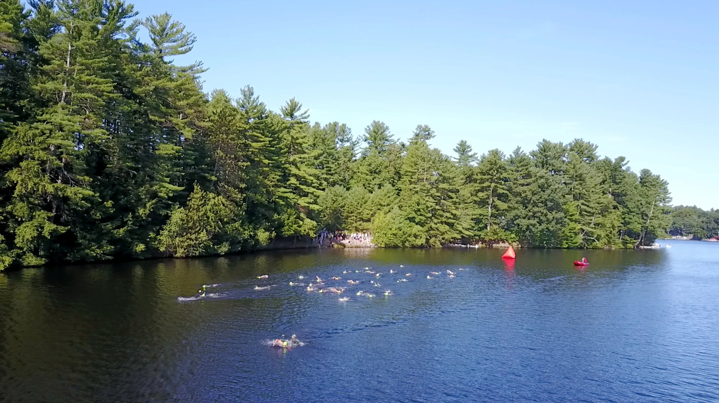 The first of three swim waves heads out from the start.