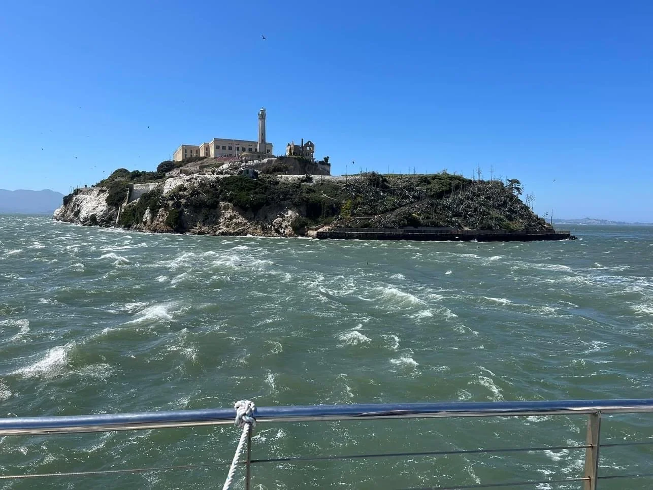 Accomplishing the Impossible: Grit and Determination Drive Successful Alcatraz Swim 
