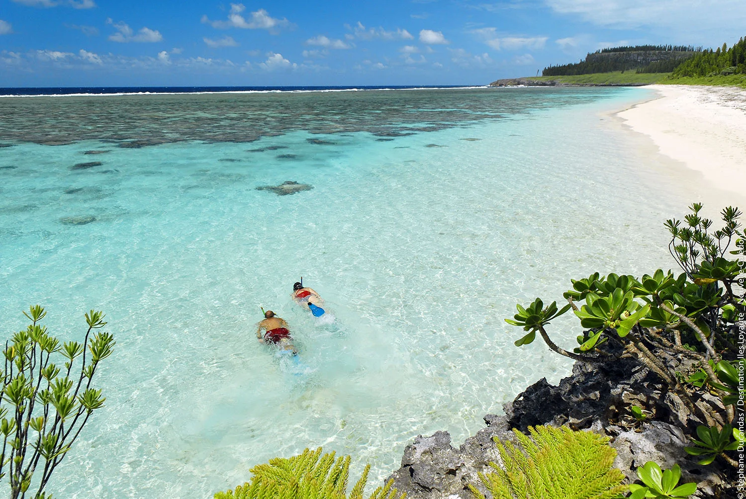 Loyalty Islands 59 _Maré_09_024_1500px.jpg