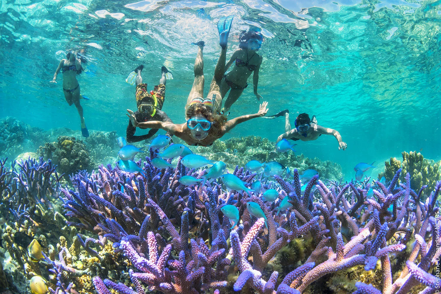 Snorkelling_ETH5306_1500px.jpg