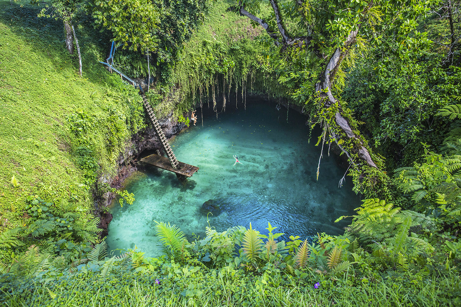 Upolu_To Sua Ocean Trench Background_1500px.jpg