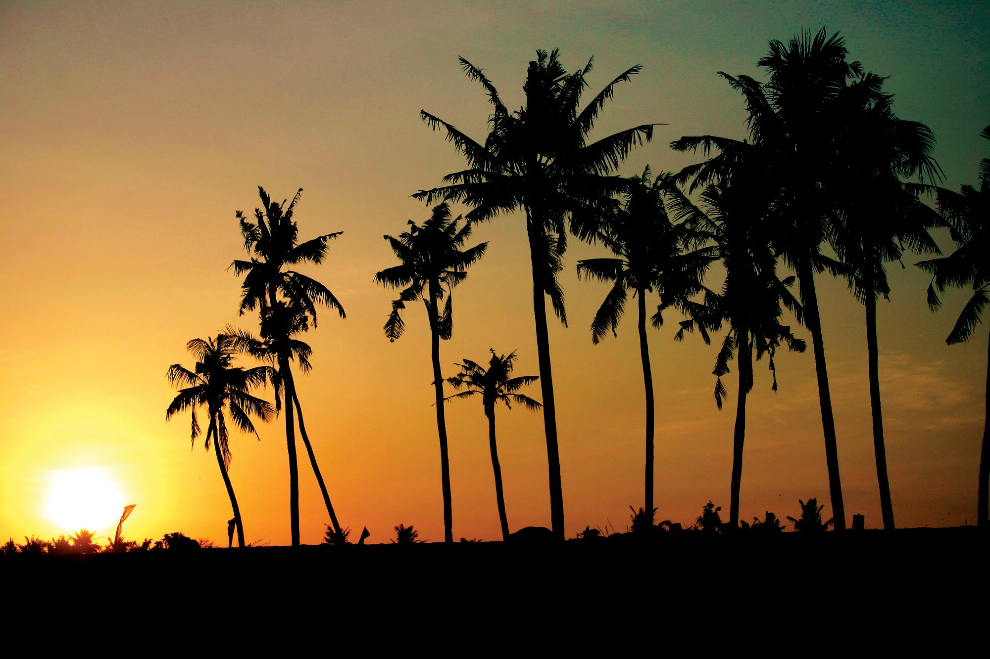 bali_sunset trees.jpg