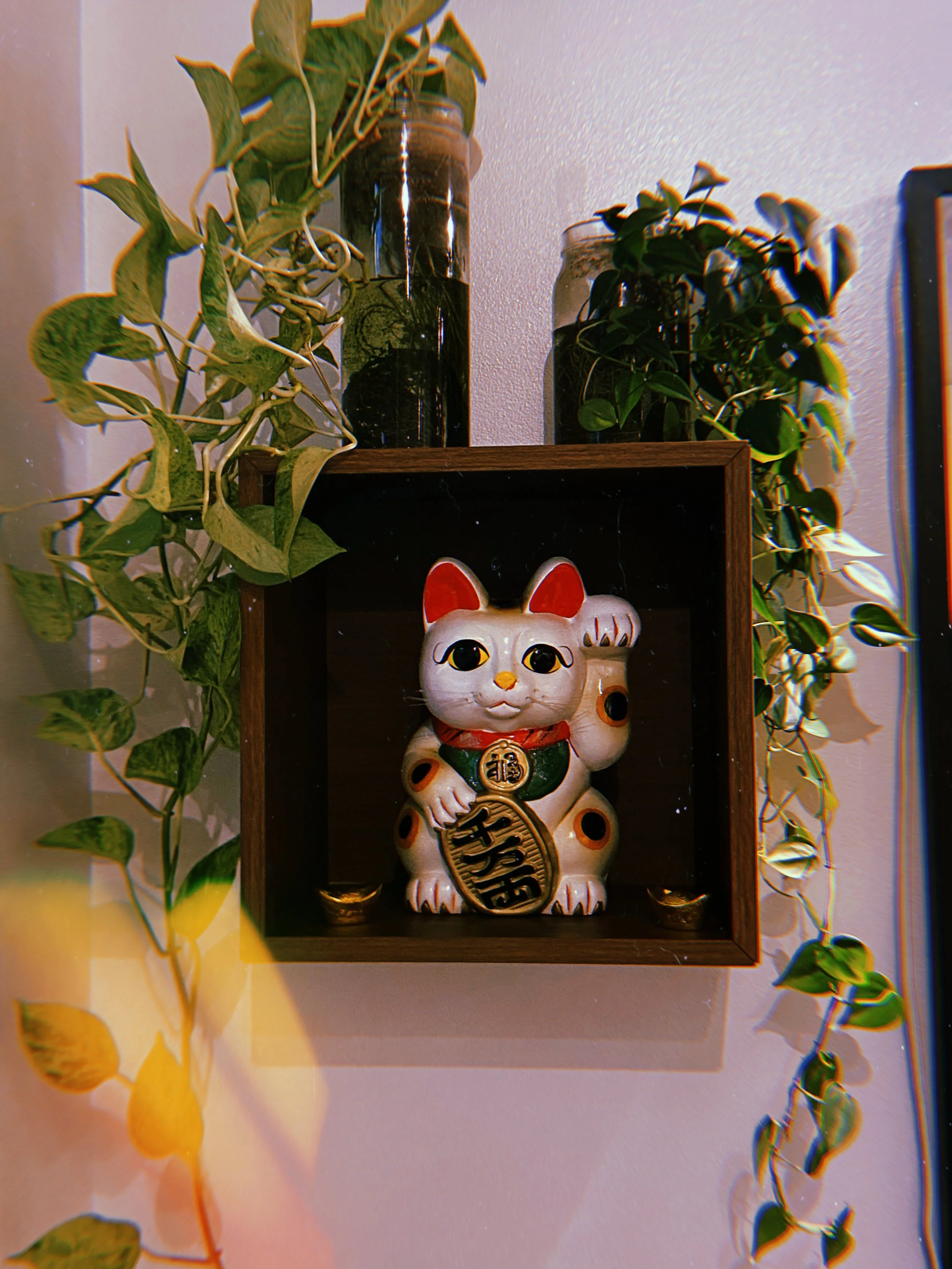 2025-11-05 15:10:51.523.JPG